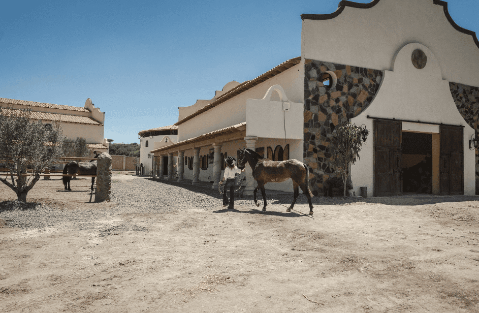 Horseback Riding in San Miguel de Allende