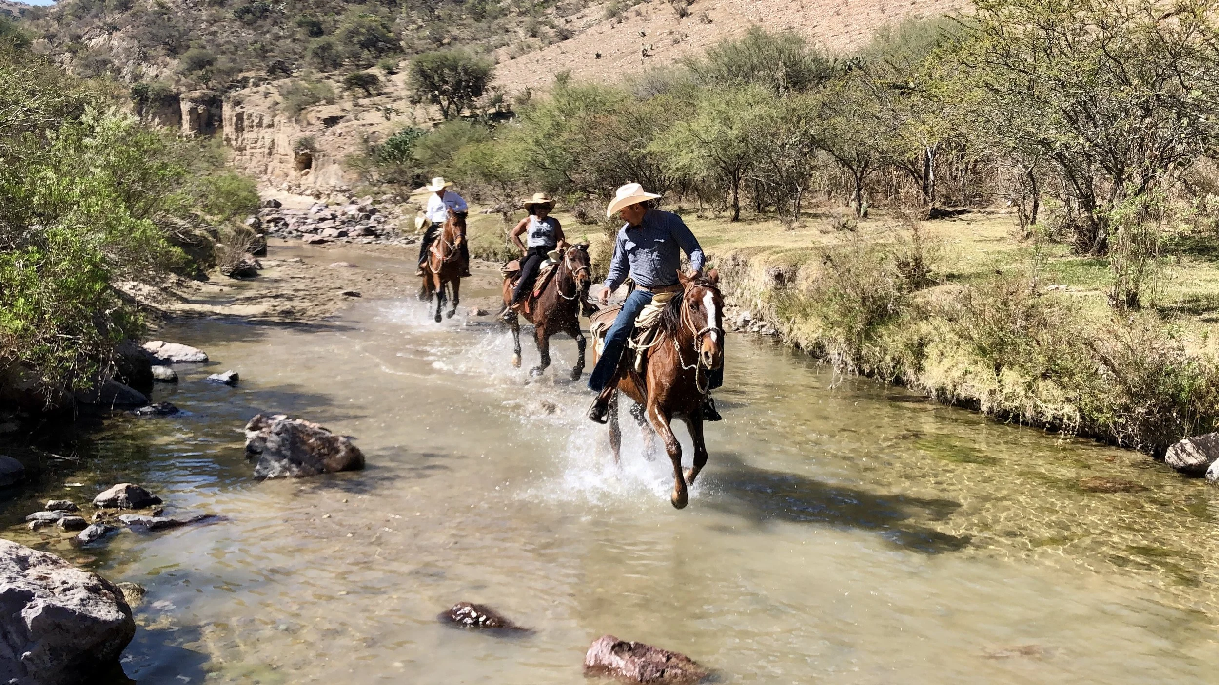 Horseback Riding in San Miguel de Allende